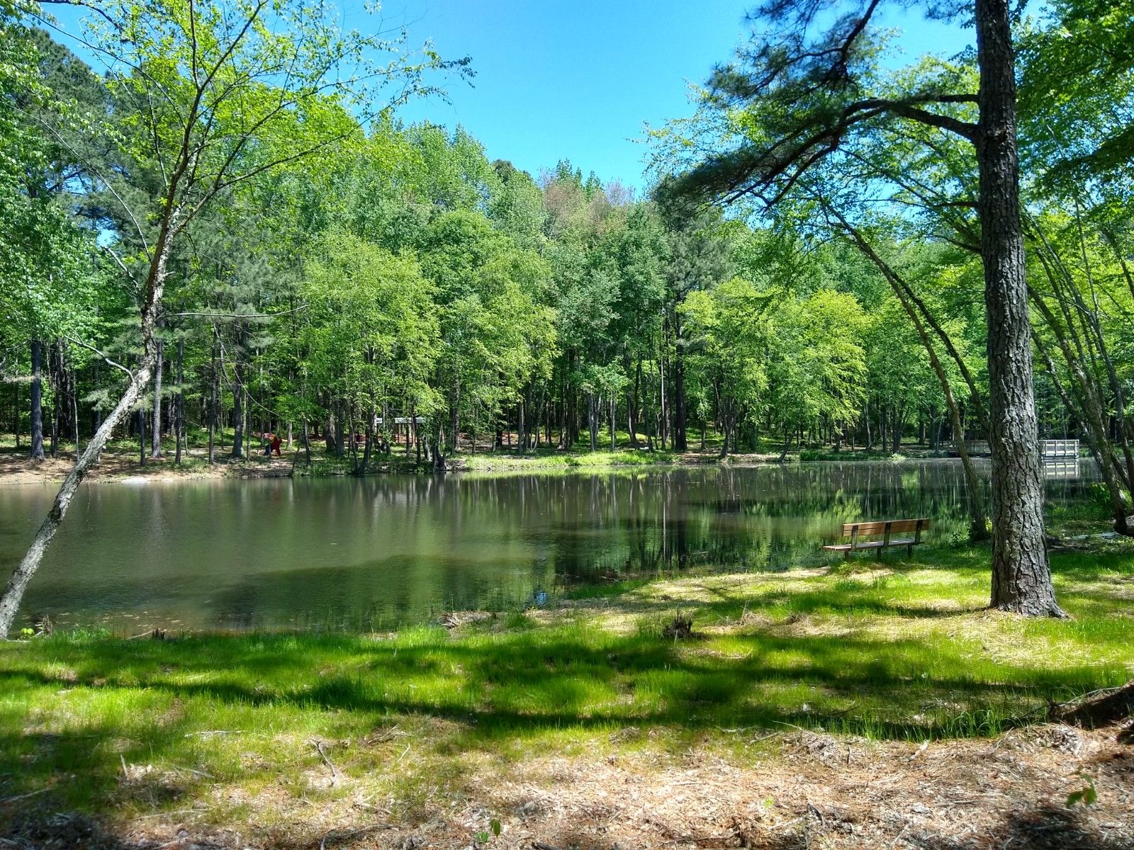 Nestled in the peaceful neighborhood of Delmont Townes, a small lake is surrounded by trees, with a wooden bench on the grassy shore under a clear blue sky.
