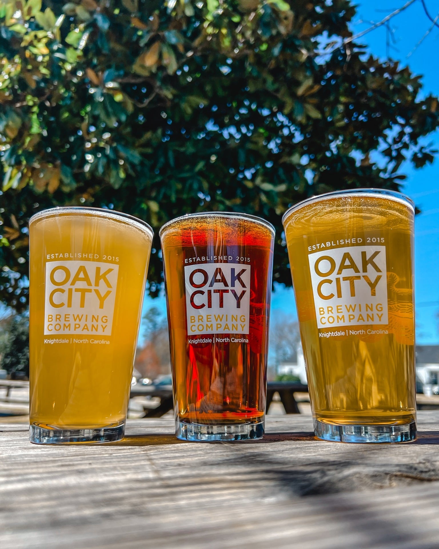 Three pint glasses filled with different colored beers from Oak City Brewing Company sit on a wooden table outdoors, with a tree and blue sky in the background—perfect for enjoying with friends in the vibrant Neighborhood - Delmont Townes.